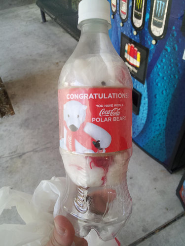 自販機でコーラを買ったらシロクマ08