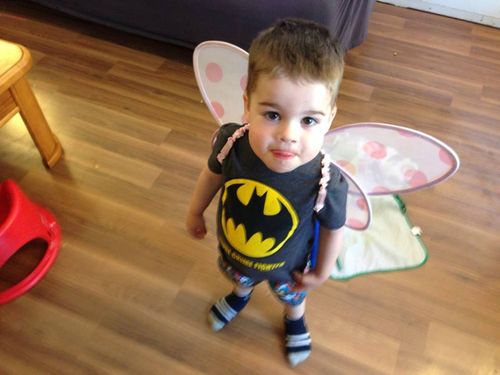 バットマンに翼01