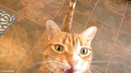 �ۥ��åץ��꡼��򰦤���ǭ03