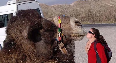 アングル写真07