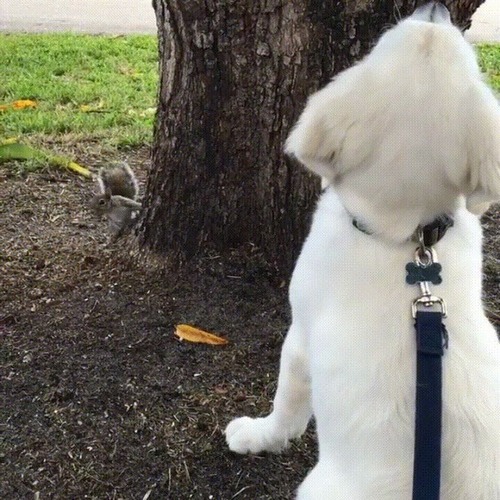 �ڤ򸫾夲�븤�֥ꥹ���ɤ��Ԥä��Τ��ʤ���04