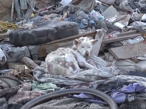 ���ߤλ�����餹�ۡ���쥹����߽�02