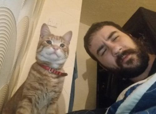 帰宅したら…見知らぬ猫がいる13