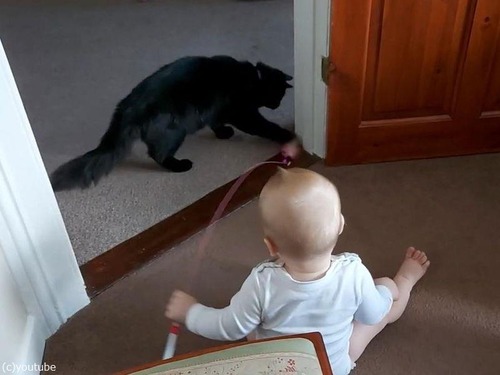 ǭ������֤����03