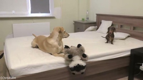 �٥åɤξ��ͷ�֤��Ȥ���Ĥ���ơ��綽ʳ������å���04