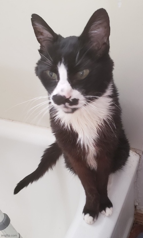 �����ʤҤ��ΤĤ���ǭ01