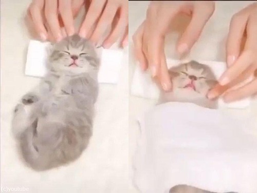 ��ǭ�˥���01