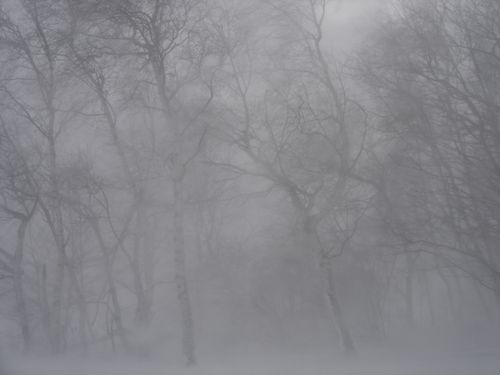 吹雪のときの運転00