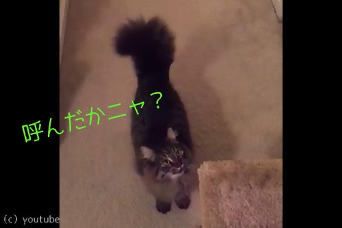 �פȺʤ���ߤ�ǭ��̾����Ƥ֤Ȥ�00