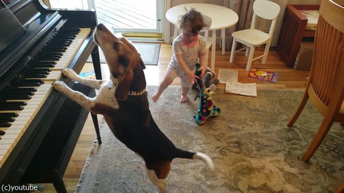 ピアノ弾き語りをする犬と踊る女児03