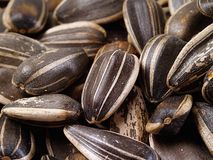 生産性をあげる20の食べ物11