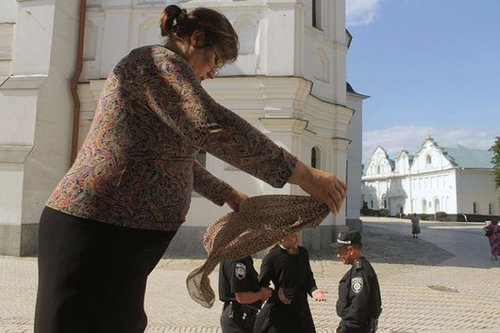 2度見するレベル03