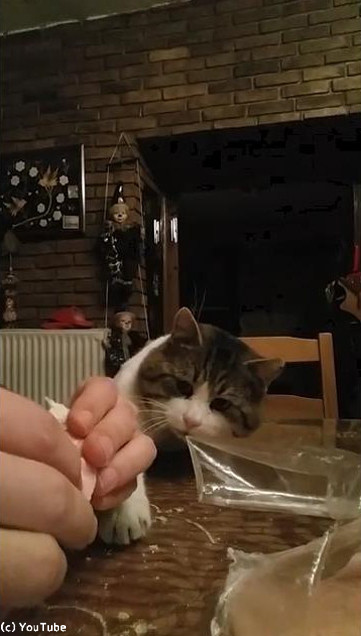 �����礵��Υȡ����Ȥ�����ǭ01