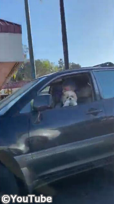 �繥���ʥܡ����ȩ��Υ�������äƤ������Ĥޤ�������ब01