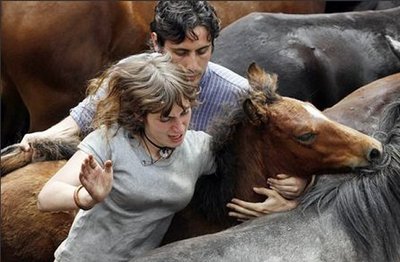 スペインの馬祭り08