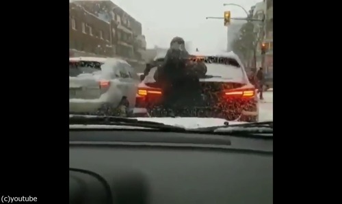 ���ʥ��ͤ���˽�ʹ�ư01