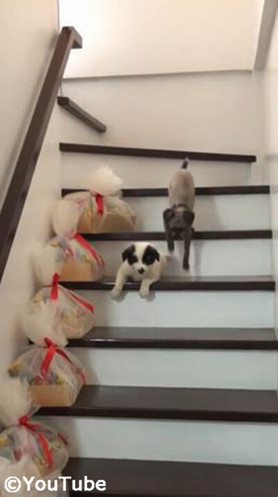 ���ʤ򲼤���ʤ��������뤪�Ф������04