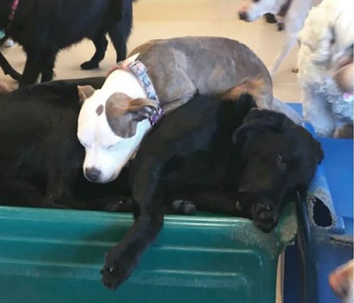 ¾�θ���ޤ���ˤ���Ҹ�09