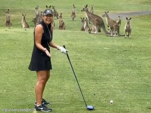 さすがオーストラリア…ゴルフ中の女性のすぐそばにカンガルーの群れがやって来た