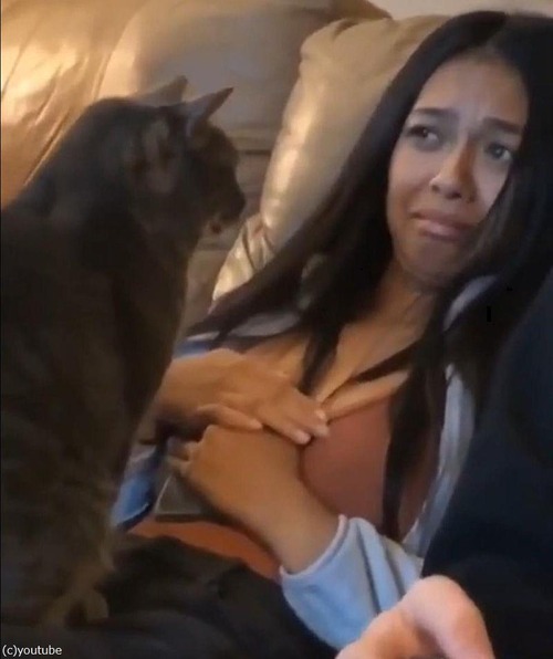 ǭ��ǭ��������ʤ��ͤ򸫤Ĥ���Τ�����05