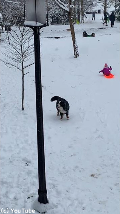 ��򰦤��Ƥ�ޤʤ��������04