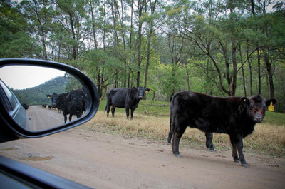 �����ɥߥ顼�ηʿ�20