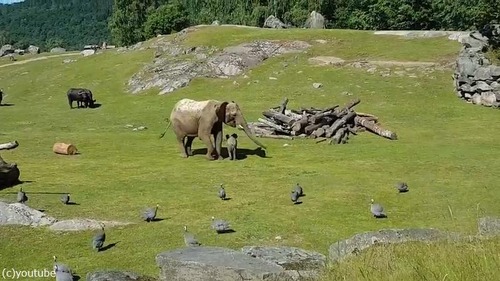 ͷ�Ӥ�̴���ž��Ǥ��ޤ��֤���󥾥�04