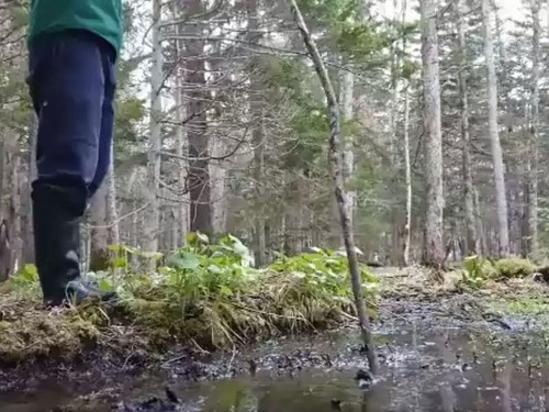 北海道の水たまり00