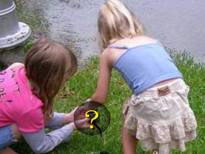 スカンクの赤ちゃん00