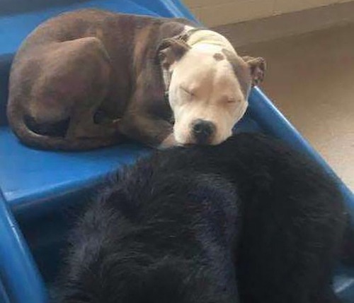 ¾�θ���ޤ���ˤ���Ҹ�03