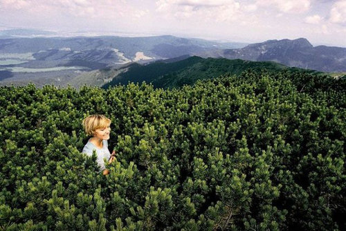 2度見するレベル13