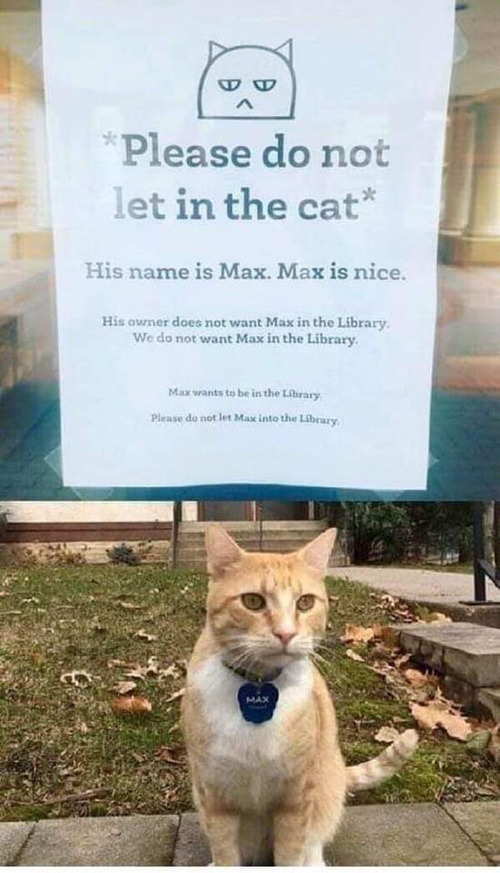 ǭ�ȿͤ�˾���Τ��̡��ΤȤ�01