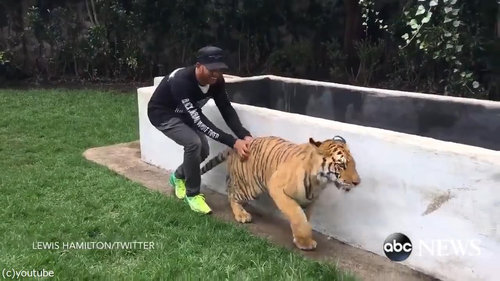 �פ��ظ夫�鶼������02