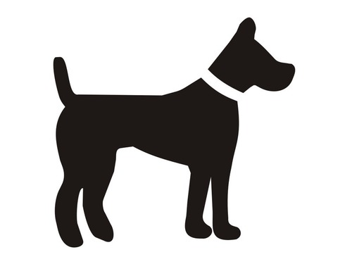 犬の日特集05
