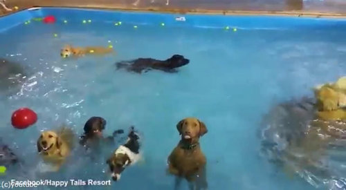 ����������θ�04