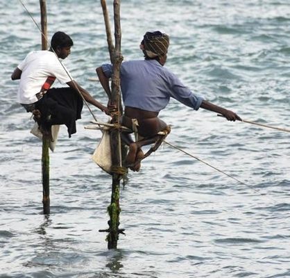 海の上に突き立てた棒にしがみついて釣りをする 風変わりなスリランカの伝統漁法 らばq 海の上に突き立てた棒にしがみついて釣りをする 風変わりなスリランカの伝統漁法 らばq
