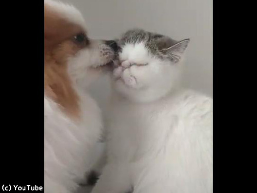 ǭ�ؤΰ���ɽ�����㤷�᤮����00