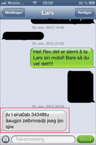 野生のキツネにiPhoneを盗まれた02