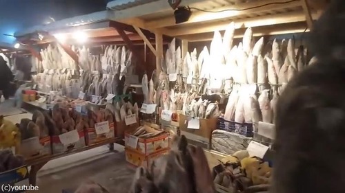 ���٥ꥢ�ε��Ծ줬������02