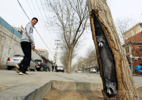 �ڤδ��˳�������������09