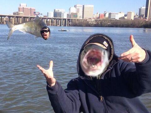 とても写真写りのいい魚07