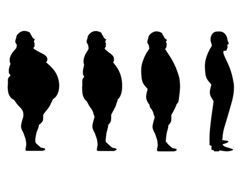 BMI�ʥܥǥ��ޥ��ؿ���