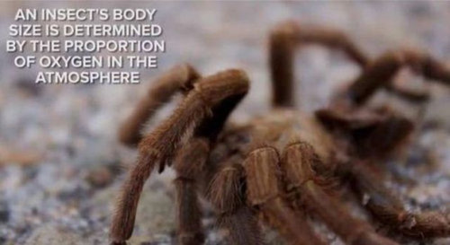 地球から酸素がなくなったら22