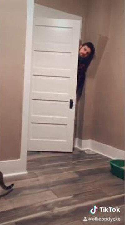 �����ʤ��Ƥ�Ρ���̯���Ĥ�����ǭ02