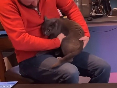 猫「抱っこを続けるニャー！」ご主人様が好き過ぎて降りてくれない（動画）