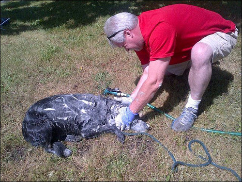 ペンキ缶を乗せた車が事故04