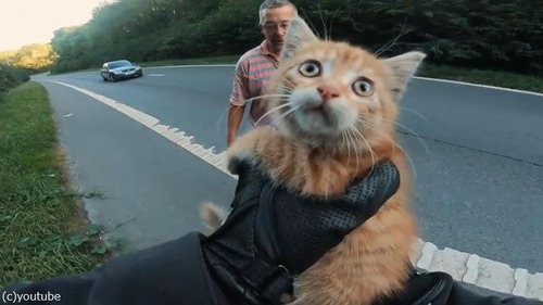 ��®ƻϩ�ǻ�ǭ��߽�04