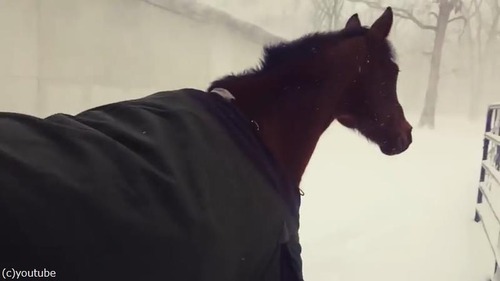 ���������02