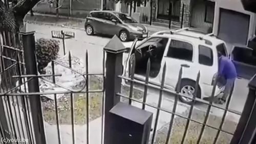 ボクサー犬、飼い主さんを襲った強盗を撃退01