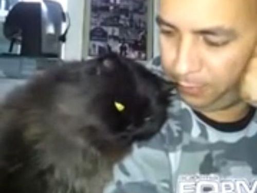 相思相愛なお父さんと猫01